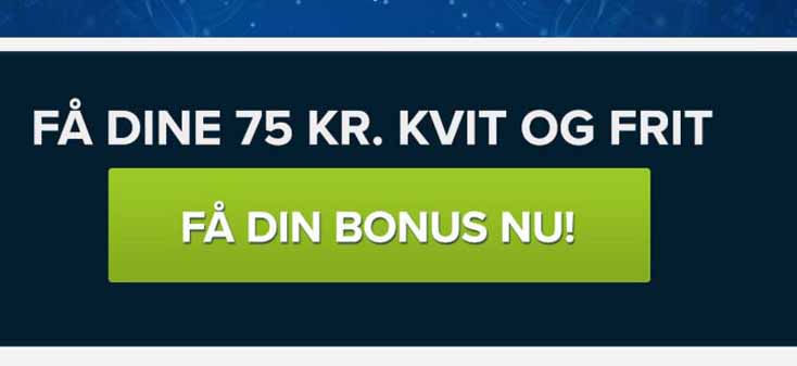 anmeldelse