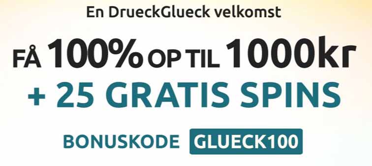 anmeldelse