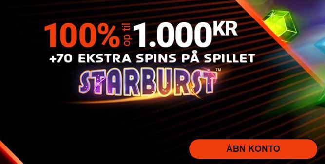 anmeldelse