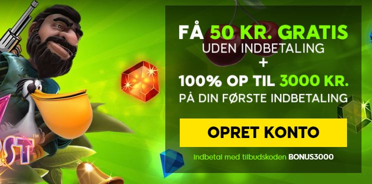 anmeldelse