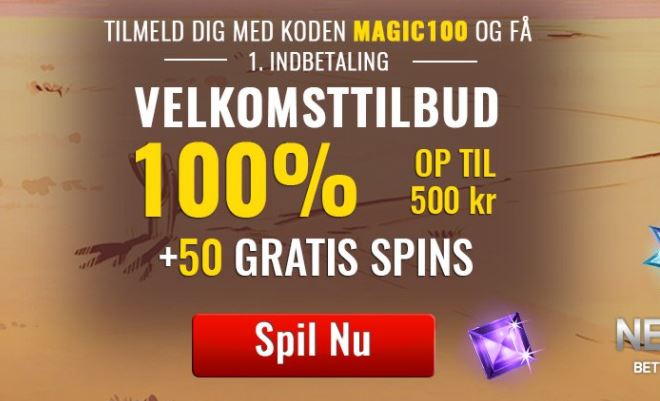 anmeldelse