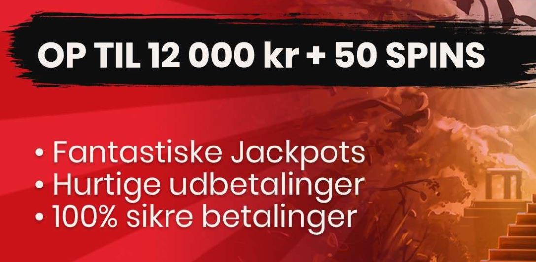 anmeldelse