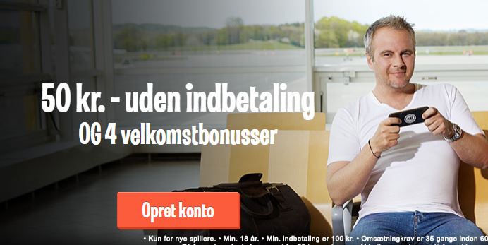 anmeldelse