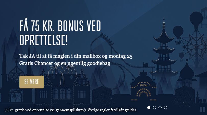 anmeldelse
