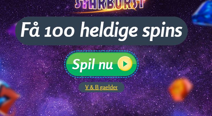 anmeldelse