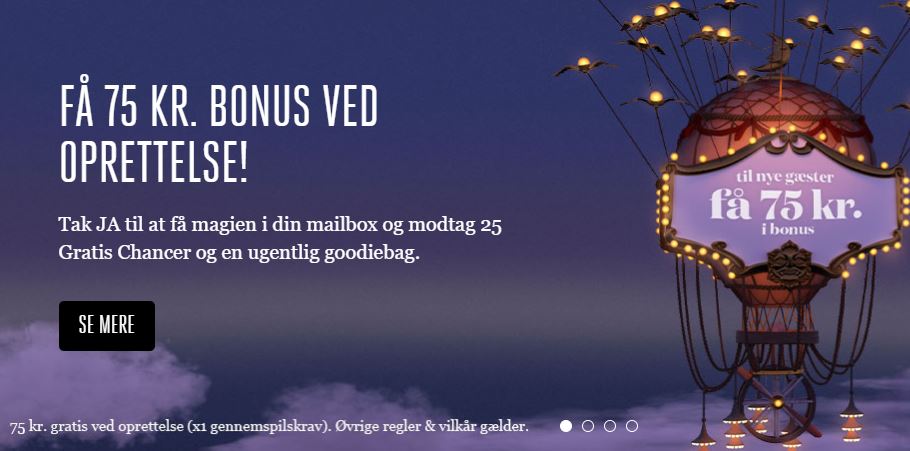 anmeldelse